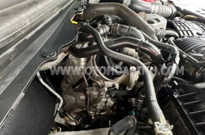 Xe Ford Ranger Wildtrak 2.0L 4x4 AT 2019