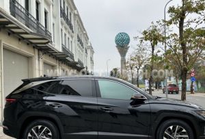 Xe Hyundai Tucson 2.0 AT CRDi Đặc biệt 2022